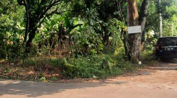 Gambar 1 Tanah di Desa dangdang  Cisauk kab.tangerang