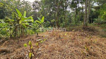 Gambar 1 TANAH PERKARANGAN SIAP BANGUN DI JATIREJO GUNUNG PATI