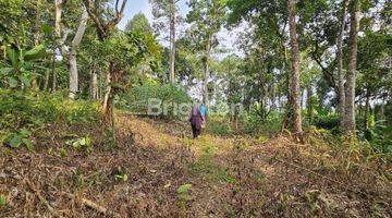 Gambar 2 TANAH PERKARANGAN SIAP BANGUN DI JATIREJO GUNUNG PATI