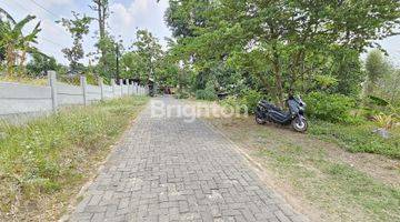 Gambar 2 Tanah Di Bawah Harga Njop, 500 Meter Ke Fak.ekonomi Undip