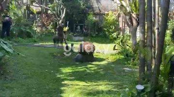 Gambar 1  Tanah Bonus Villa, Lokasi Strategis PETITENGET, Seminyak