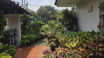 Gambar 3 Rumah Classic Asri di Kemang, Lokasi Strategis Bebas Banjir 