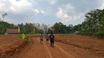 Gambar 1 Tanah Kavling Gunungpati Belakang Terminal Gunungpati