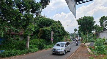 Gambar 1 Tanah Javling Pinggir Jalan Raya Muntal Unnes 