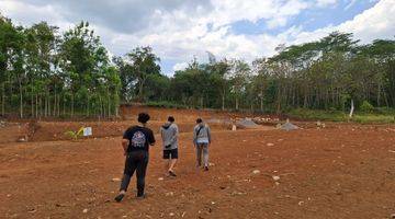 Gambar 5 Tanah Kavling Gunungpati Belakang Terminal Gunungpati