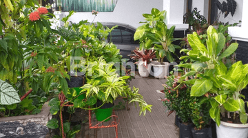 Gambar 2 cepat BU Harga Murah, siapa cepat dapat Rumah dalam komplek BillyMoon