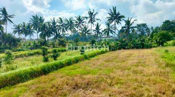 Gambar 3 LAHAN BONUS TOKO DAN GUDANG  di UBUD