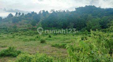 Gambar 5 Dijual Tanah di Kawasan Rumpin Leuwi Batu Bogor View Gunung