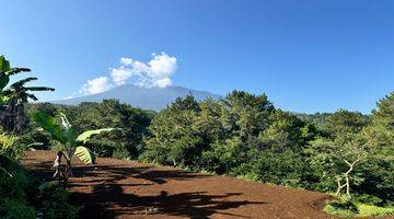 Gambar 1 Tanah Untuk Villa Lembah Pinus Puncak Bogor