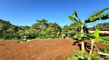 Gambar 2 Tanah Untuk Villa Lembah Pinus Puncak Bogor