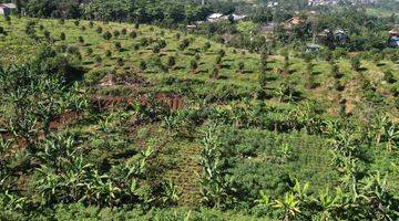 Gambar 1 Dijual tanah SHM siap bangun di cisarua puncak bogor