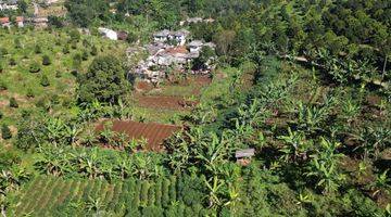 Gambar 2 Dijual tanah SHM siap bangun di cisarua puncak bogor