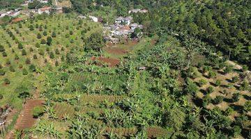 Gambar 3 Dijual tanah SHM siap bangun di cisarua puncak bogor