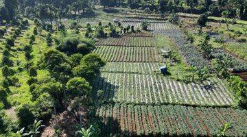 Gambar 4 Dijual tanah SHM siap bangun di cisarua puncak bogor