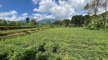 Gambar 3 Dijual tanah SHM siap bangun di cisarua puncak bogor