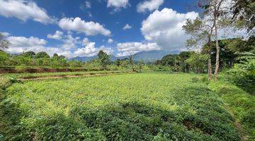 Gambar 2 Dijual tanah siap bangun dekat wisata taman Safari