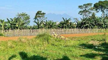 Gambar 2 Tanah Kavling Di Megamendung Puncak Bogor