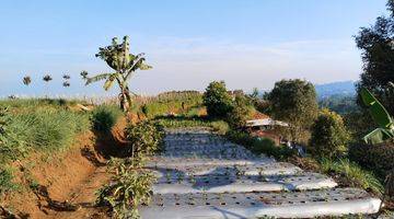 Gambar 1 Tanah Dekat Jeep Station Indonesia Megamendung Puncak Bogor Shm