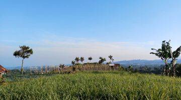 Gambar 3 Tanah Dekat Jeep Station Indonesia Megamendung Puncak Bogor Shm