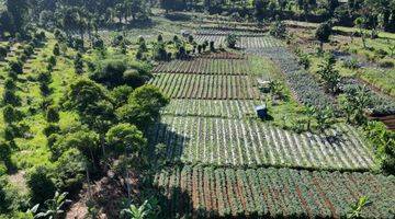 Gambar 2 Tanah Murah Hanya 1km Dari Jalan Raya Puncak Shm 