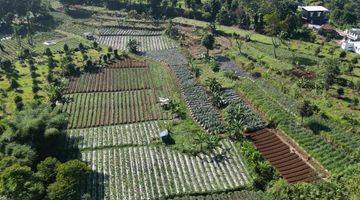 Gambar 5 Tanah Murah Hanya 1km Dari Jalan Raya Puncak Shm 