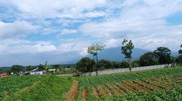 Gambar 3 Tanah Dekat dari exit tol gadog megamendung puncak bogor shm 