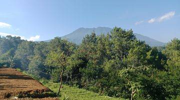 Gambar 1 Tanah Dengan View Gunung Dekat JSI Resort Megamendung Puncak Bogor