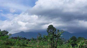 Gambar 2 Tanah Di Bumi Citeko Cisarua Puncak Bogor SHM