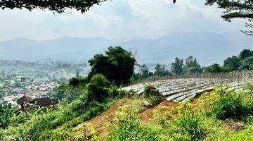 Gambar 1 Tanah Dekat Stuco Coffee Cisarua Puncak Bogor SHM