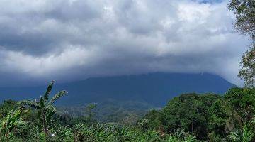 Gambar 1 Tanah dijalur alternatif taman safari puncak bogor