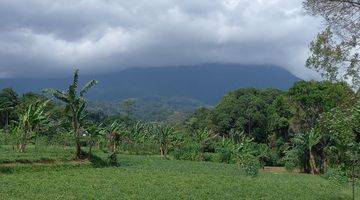 Gambar 4 Tanah dijalur alternatif taman safari puncak bogor