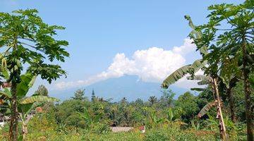 Gambar 1 Tanah dekat dari gadog megamendung puncak bogor shm