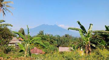 Gambar 2 Tanah dekat dari gadog megamendung puncak bogor shm