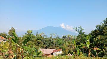 Gambar 3 Tanah dekat dari gadog megamendung puncak bogor shm