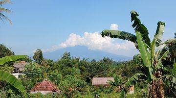 Gambar 4 Tanah dekat dari gadog megamendung puncak bogor shm