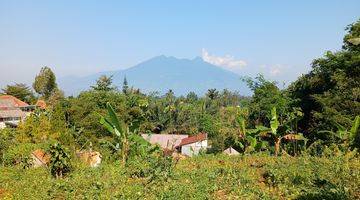 Gambar 5 Tanah dekat dari gadog megamendung puncak bogor shm