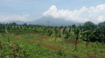 Gambar 4 Tanah View Gunung Hanya 10 Menit Dari Jalan Raya Puncak Bogor 