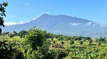 Gambar 1 Tanah View Gunung Hanya 10 Menit Dari Jalan Raya Puncak Bogor 