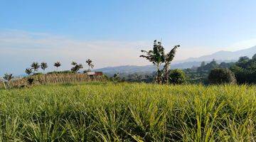 Gambar 2 Tanah Di Kawasan Villa Komersil Megamendung Puncak Bogor 