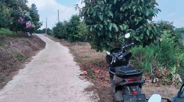 Gambar 5 Tanah View Gunung Hanya 10 Menit Dari Jalan Raya Puncak Bogor 