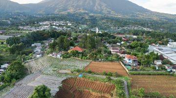 Gambar 1 Tanah Dengan View Lepas Di Cisarua Puncak Bogor SHM