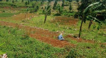 Gambar 3 Tanah View Gunung Hanya 10 Menit Dari Jalan Raya Puncak Bogor 