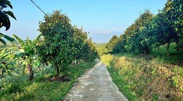 Gambar 2 Tanah View Gunung Hanya 10 Menit Dari Jalan Raya Puncak Bogor 