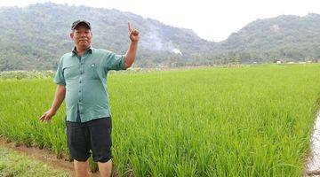 Gambar 2 Bu Jual Sawah di Tegal Panjang Cireunghas Sukabumi Jawa Barat