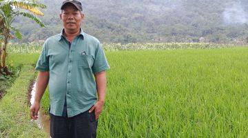 Gambar 4 Bu Jual Sawah di Tegal Panjang Cireunghas Sukabumi Jawa Barat