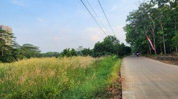 Gambar 3 Dijual Tanah Murah di Cikeas 14 Ha SHM Lebar Depan 60 Meter