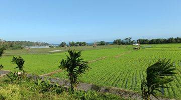 Gambar 3 Jual Tanah Murah Los Pantai Lokasi Pulukan Jembrana Bali