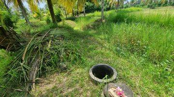 Gambar 4 Di Jual Tanah Sawah Datar Ada Sumber Air Bersih