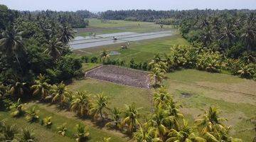 Gambar 3 Di Jual Tanah Sawah Datar Ada Sumber Air Bersih