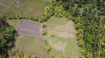 Gambar 2 Di Jual Tanah Sawah Datar Ada Sumber Air Bersih